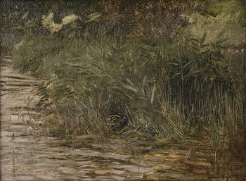 662. Bruno Liljefors, 'Beckasin i vass' (Snipe among reeds).