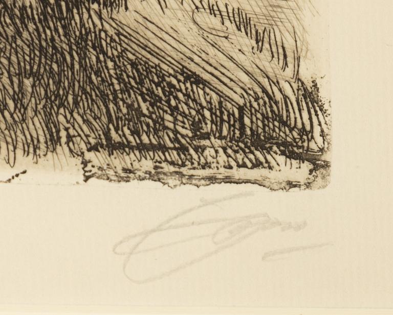 Anders Zorn, "Dalälven".