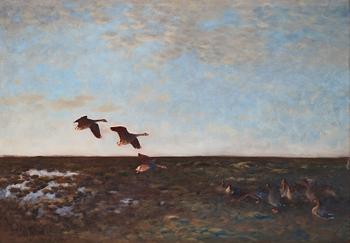 640. Bruno Liljefors, Geese.