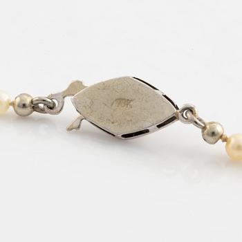 Calibrated cultured pearl necklace.