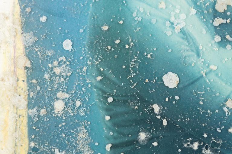 Andreas Franke, fotografi från the Vandenberg Project, certifikat medföljer, C-print och akryl.