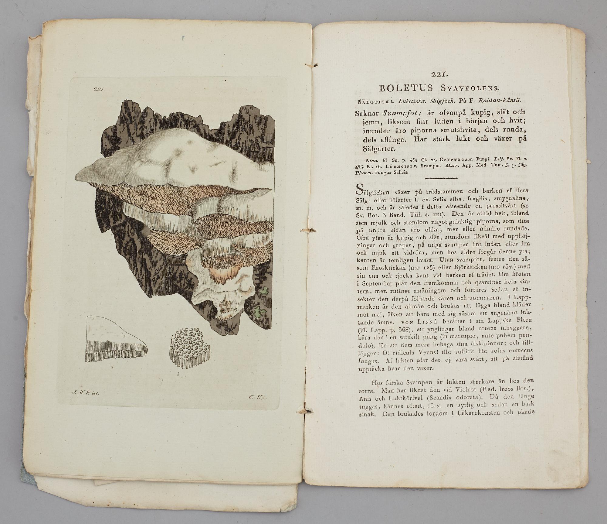 JOHAN WILHELM PALMSTRUCH, "Svensk Botanik, vol I-V. 1803-1805.