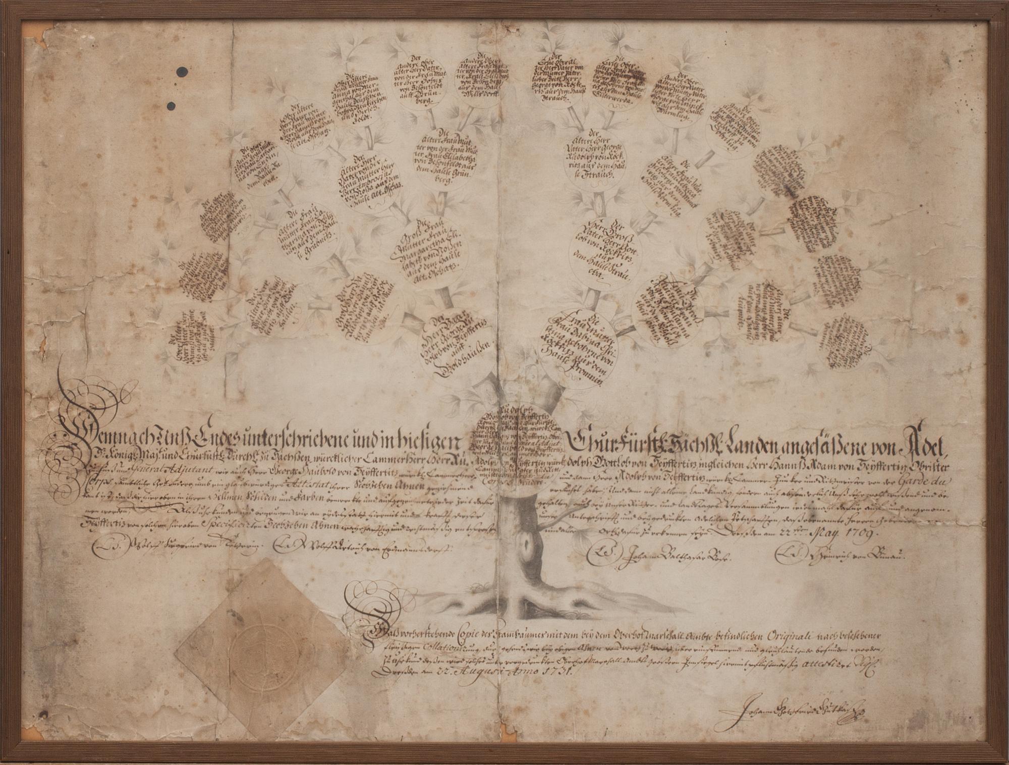 SLÄKTTRÄD, von Seyffertitz, Tyskland. Bär datering Dresden? um 22 augusti anno 1731.