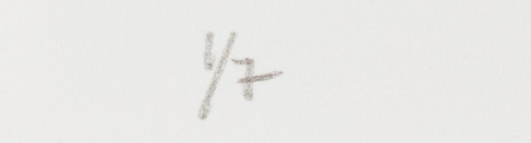 Dan Wolgers, fotogravyr, 2011, signerad 1/7.