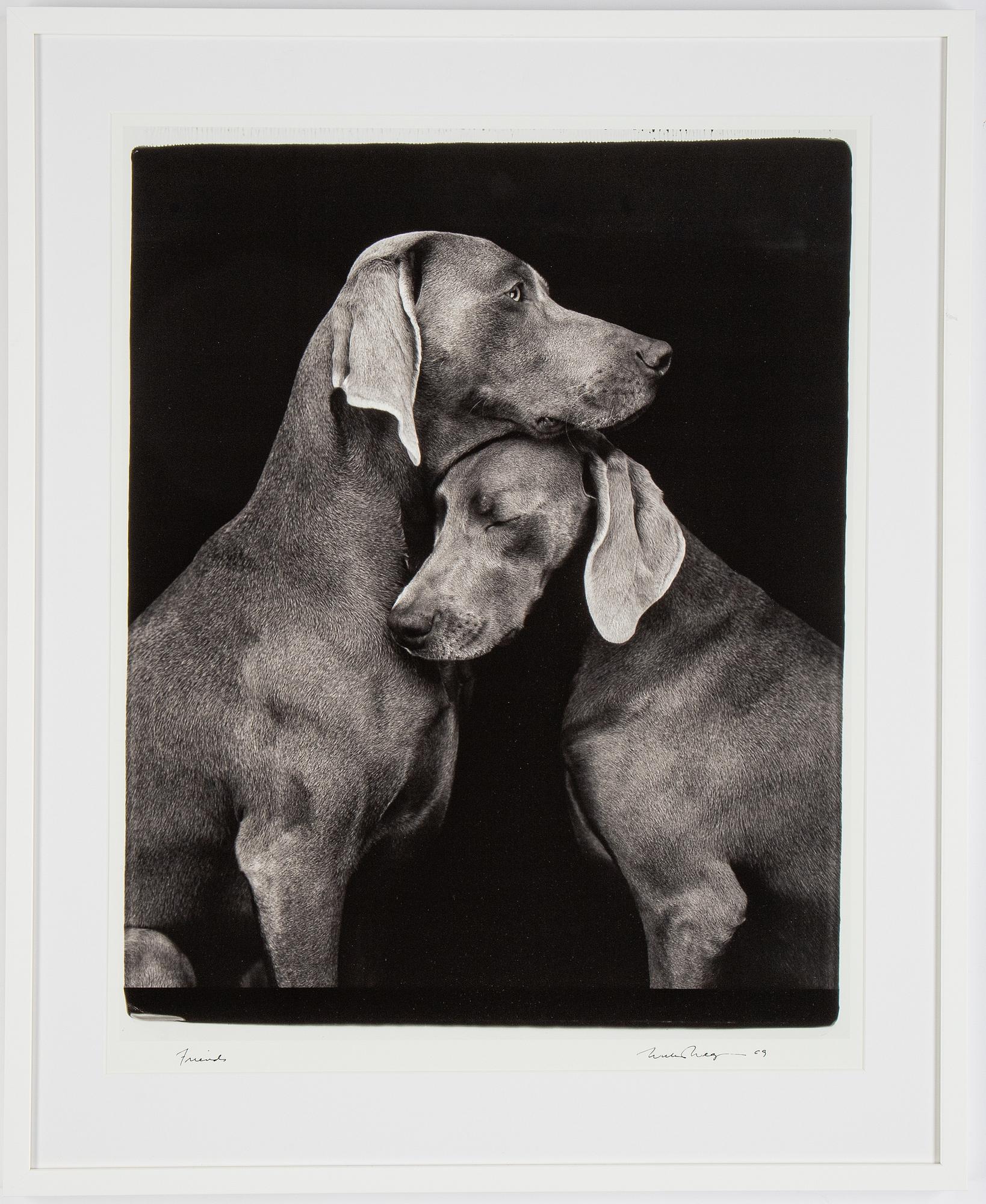William Wegman, fotografi, signerad och daterad 2009.