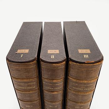 Bibliofilupplagan 3 volymer av von Wright: Svenska fåglar.