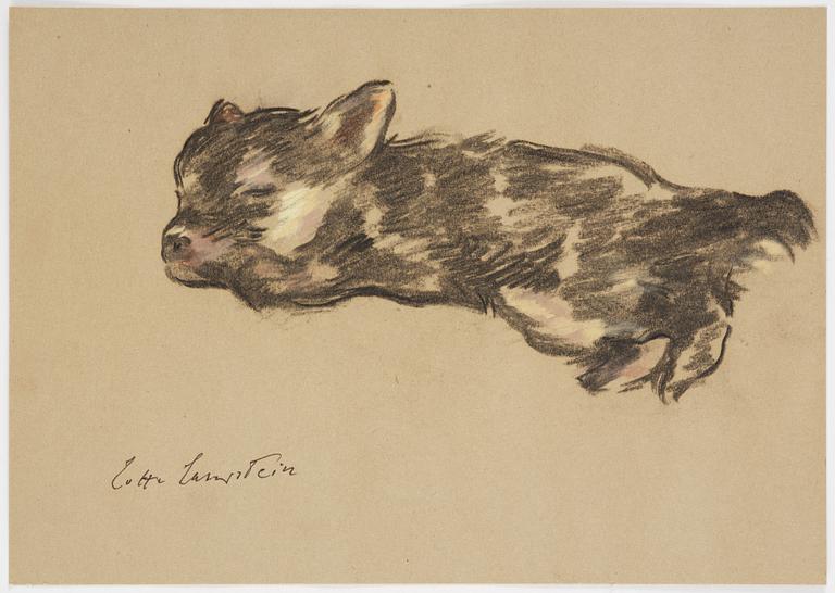 Lotte Laserstein, Sovande hundvalp.