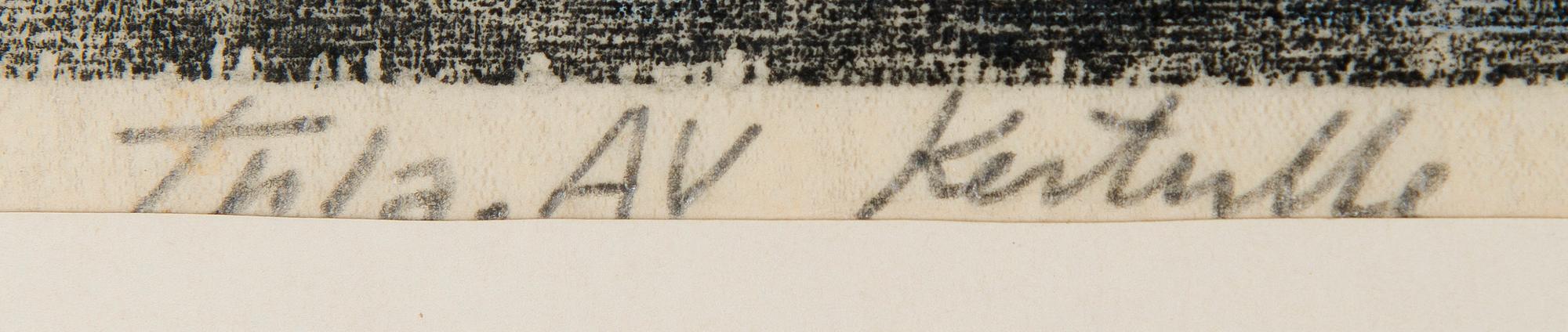 Ahti Lavonen, Joutsen.