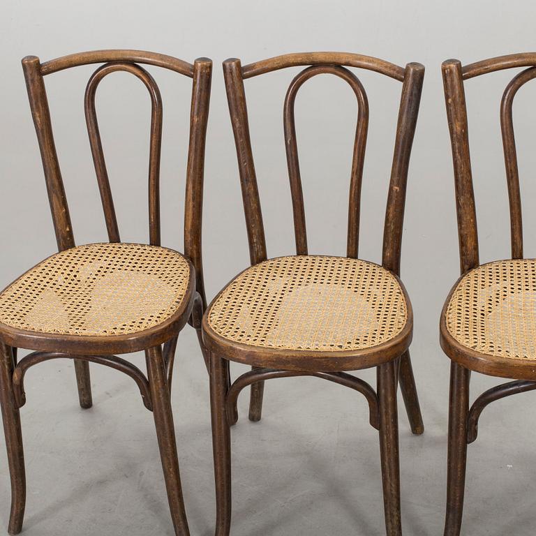 STOLAR 5 st Baumann jugend tidigt 1900-tal.