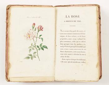 BOK, "Almanach de Flore ou description de douze plantes...Malmaison", Paris 1817.