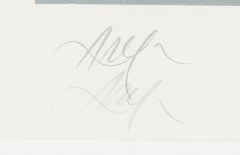 Jean (Hans) Arp, Sommitelma.