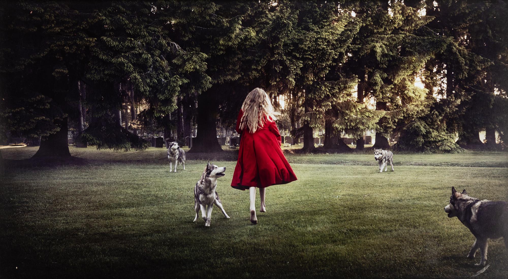 Saga Wendotte, "Into the Woods".