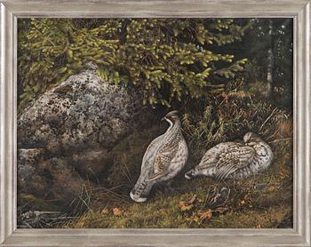 Teppo Terä, Bird pair in Forest.