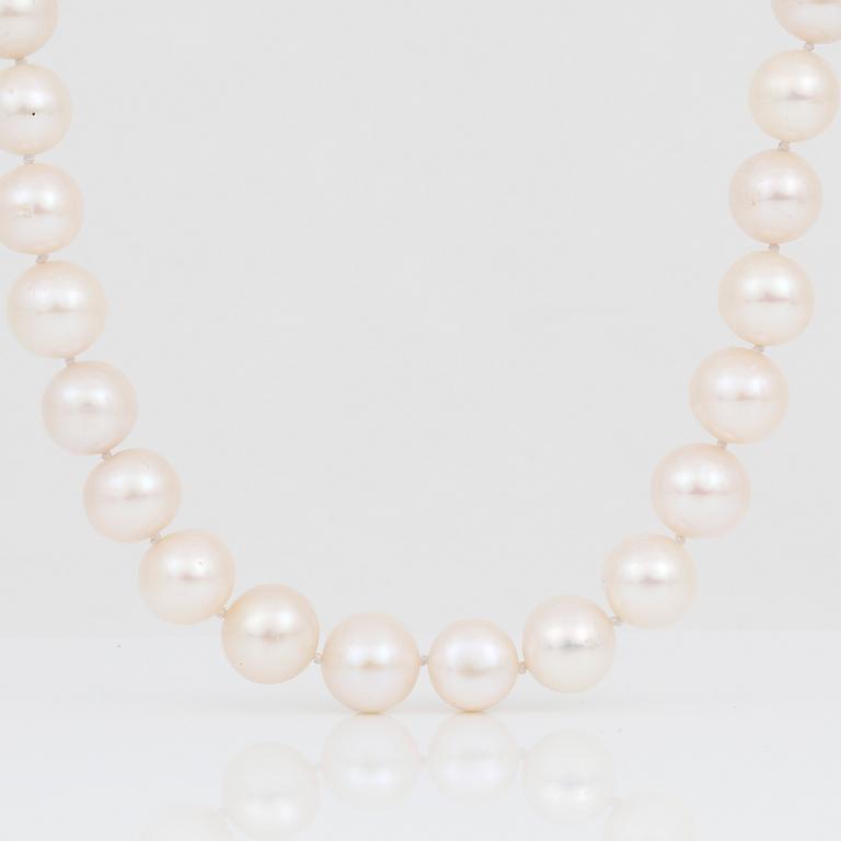 PÄRLCOLLIER, med hjärtformat försilvrat lås och odlade vita pärlor.