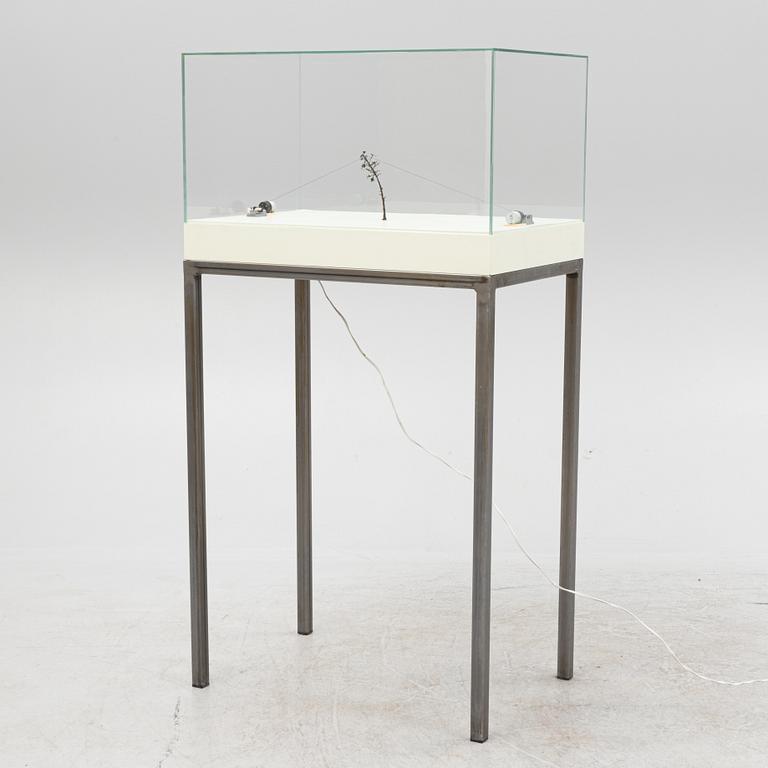 Hanna Ljungh, "Orchestration (Yesterday - Bolero)".