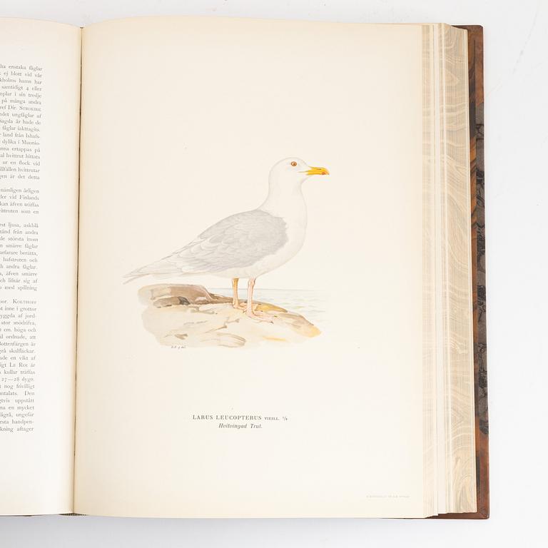 Books, 3, "Svenska fåglar" by von Wright.
