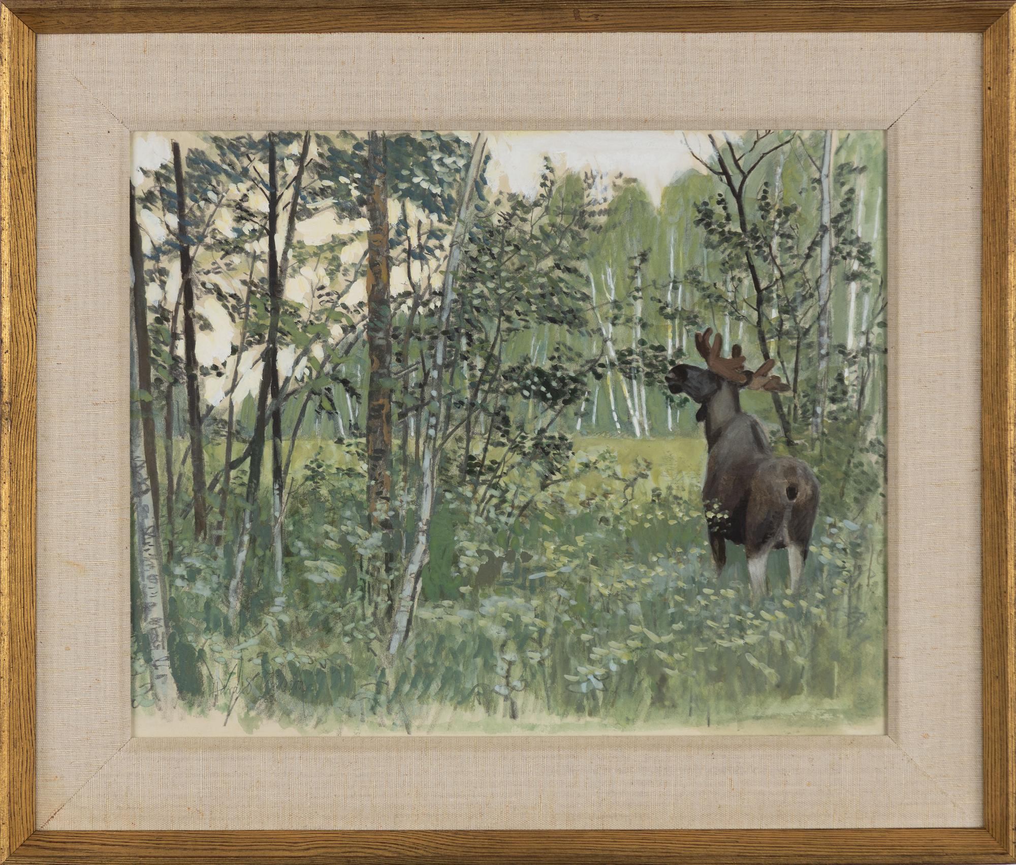 Harald Wiberg, Älg i sommarlandskap.