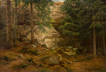 Berndt Lindholm, Mountain Cleavage in the Forest.