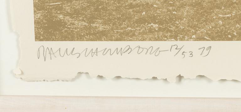 Robert Rauschenberg, "Mud Dauber" from Rockery Mounds.