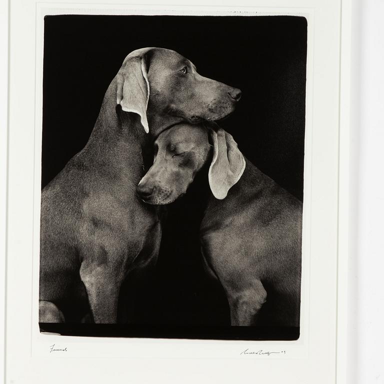 William Wegman, "Friends".