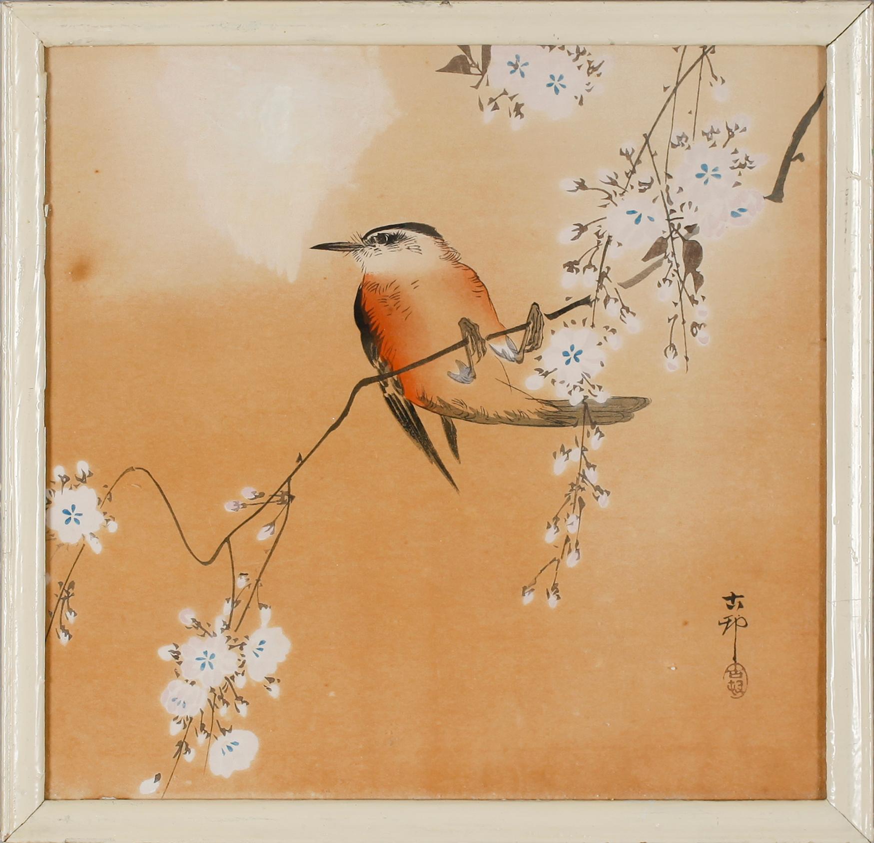 TRÄSNITT, 4 st, kolorerade, Japan, 1900-tal.
