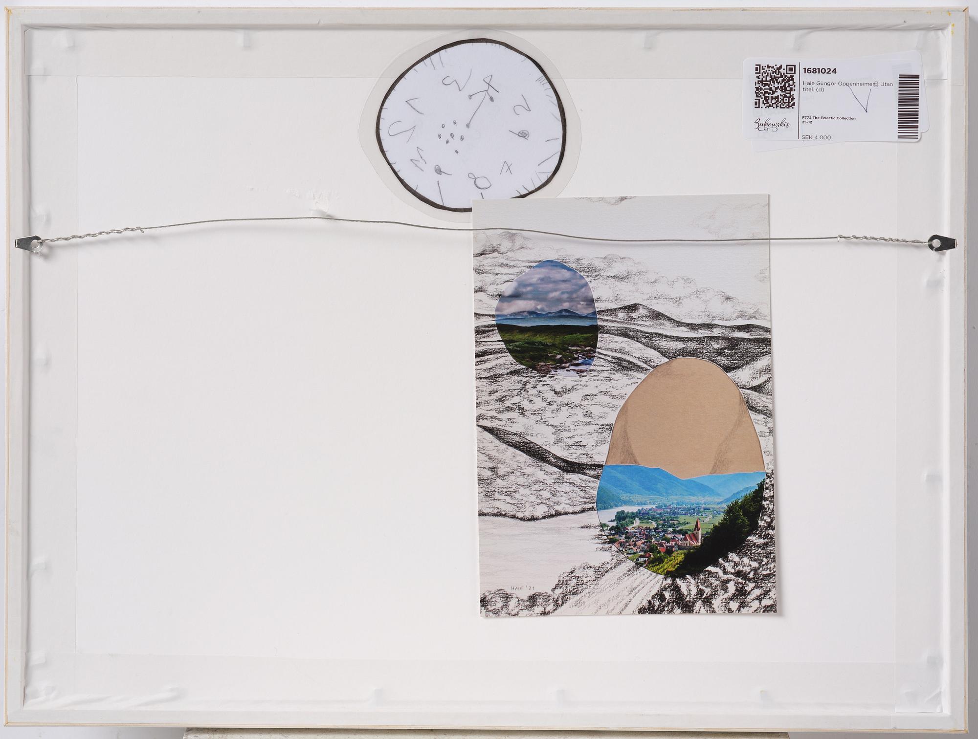 Hale Güngör Oppenheimer​, Untitled.