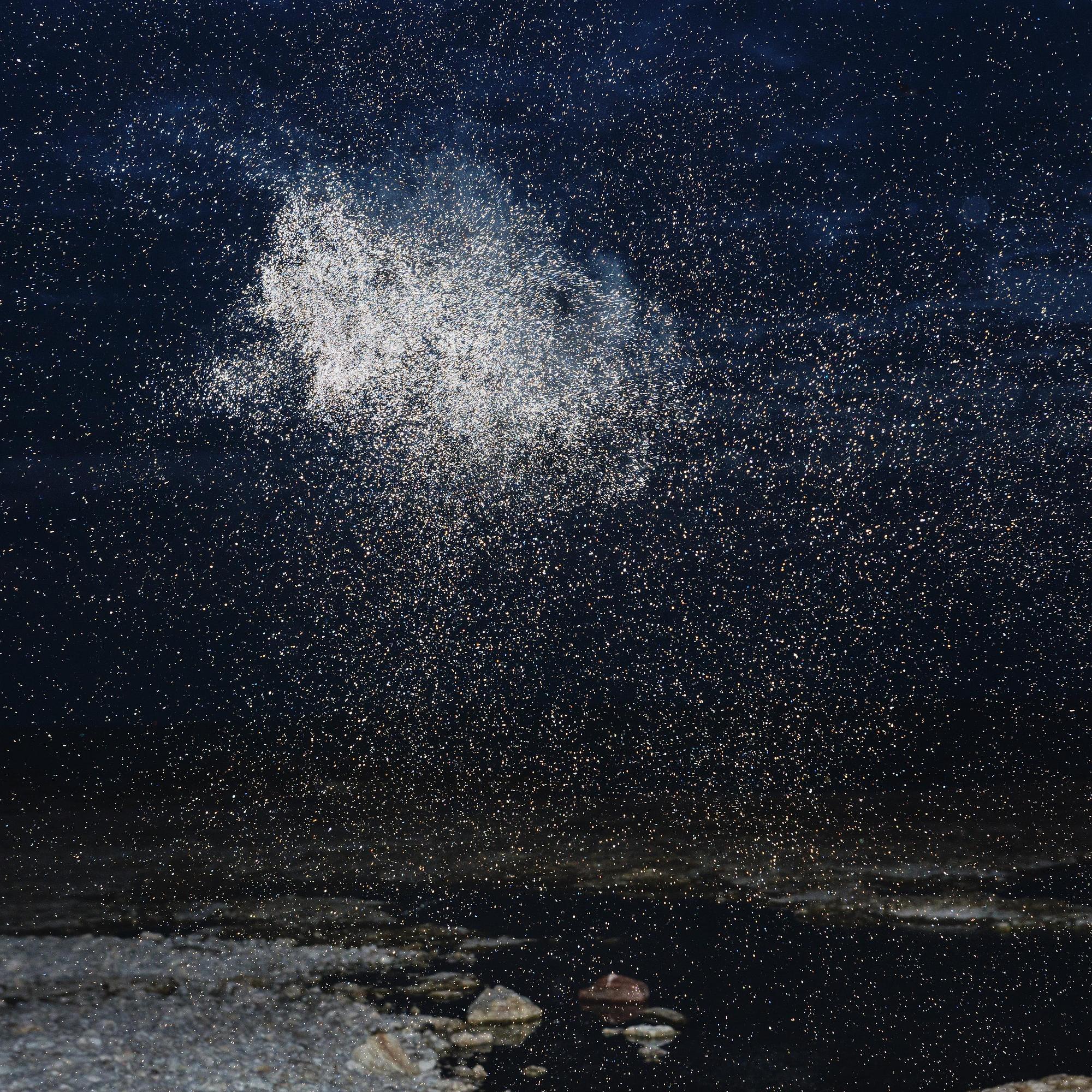 Inka & Niclas Lindergård, "Becoming Wilderness V", 2013.