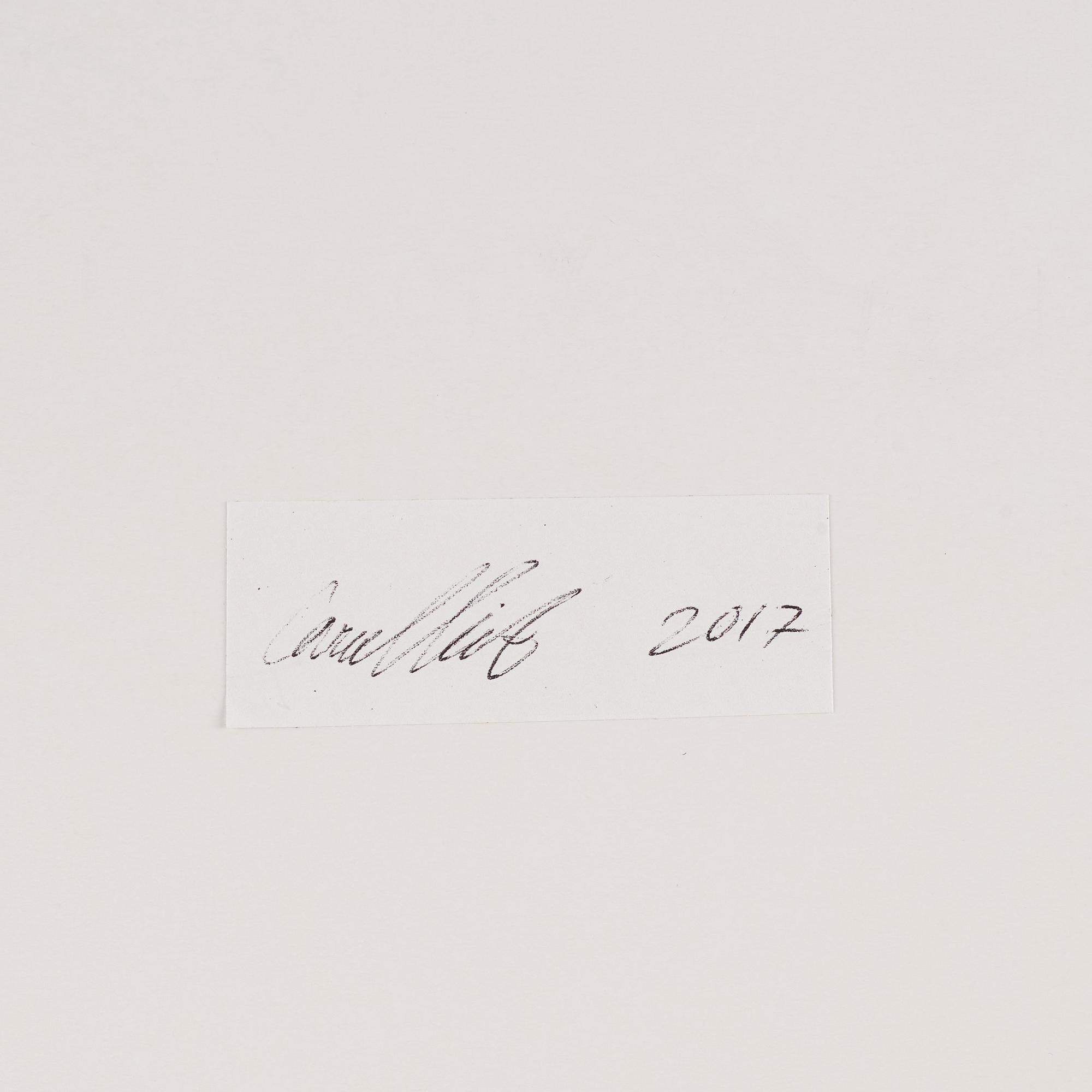 Carmen Winant, Untitled.