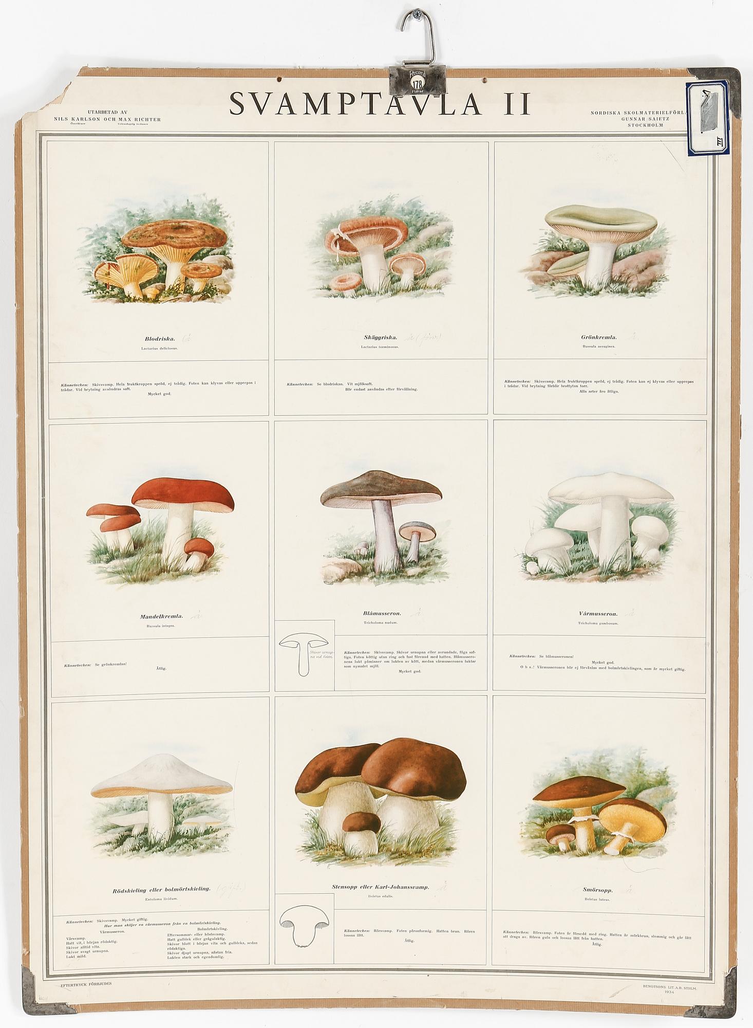 SKOLPLANSCHER, 5 st, Norstedt & Söner, 1900-talets mitt.