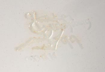 MATSERVIS, 38 delar, flintgods, Wexjö Guld, Gustavsberg.