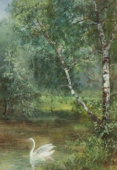 Anna Billing, Swan in Landscape.