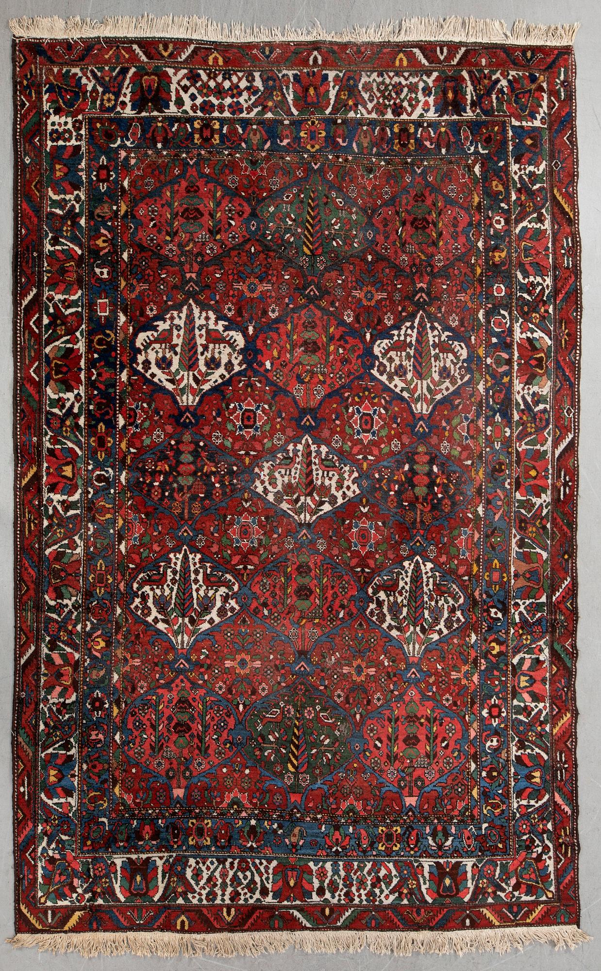 Rug, Baktiari, 305 x 220 cm.