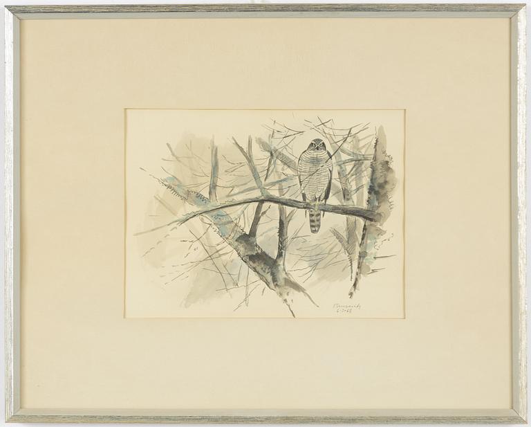 Gunnar Brusewitz, Falcon.