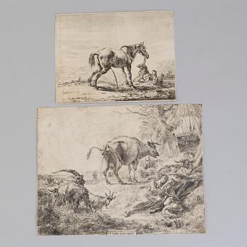 5 engravings, 18th century, amongst others C P Berghem and van der Velde.