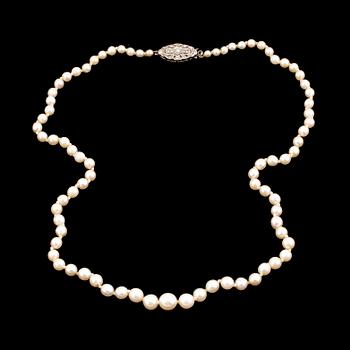 A calibrated cultured pearl necklace, clasp with diamonds.