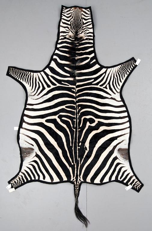 A 20th century zebra skin.