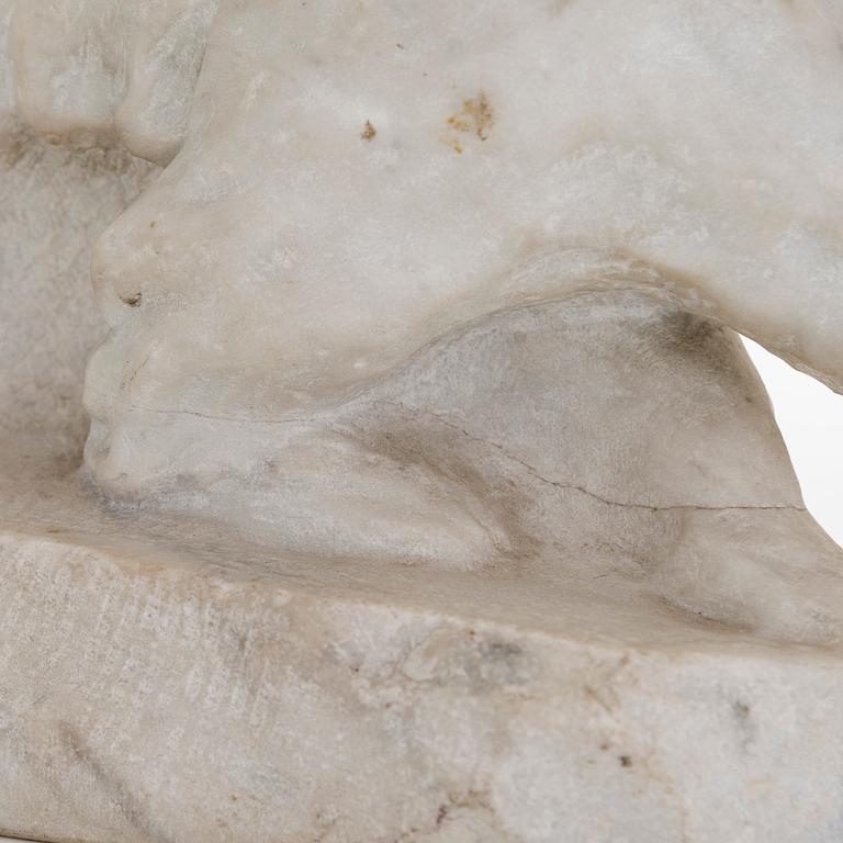 Viktor Jansson, Polar Bear.