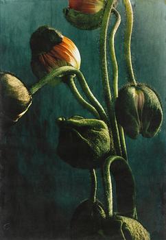 Ewa-Marie Rundquist, "61".