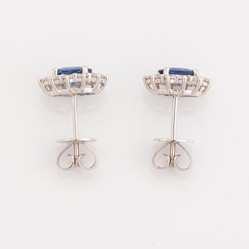 Brilliant cut diamond and  sapphire earrings.