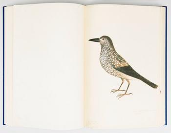 洋書 LE LIVRE DES OISEAUX d'Olof Rudbeck 洋書 LE LIVRE DES OISEAUX d'Olof Rudbeck 洋書 LE LIVRE DES