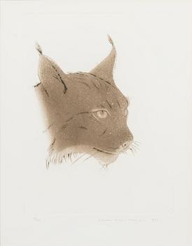 Pentti Lumikangas, Ilves.