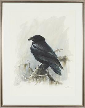 Lars Jonsson, Raven.