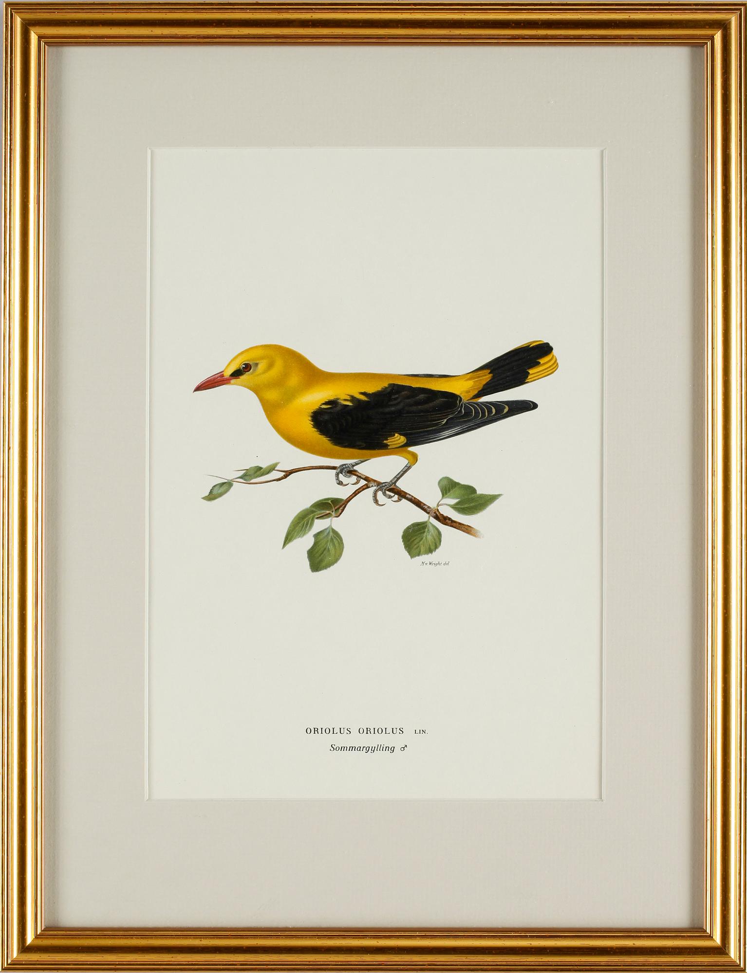 MAGNUS VON WRIGHT, litografiska tryck 4 st,