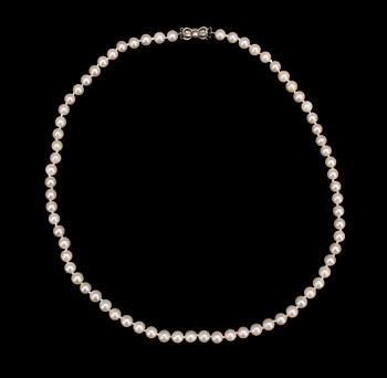 COLLIER, 2st, odlade saltvattenspärlor lås i 18k guld rödguld resp vitguld, 1950-tal.