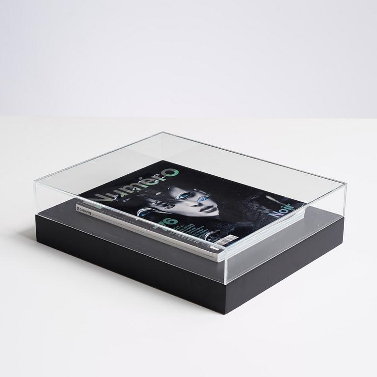 Anna Nordquist Andersson, "I see through you".