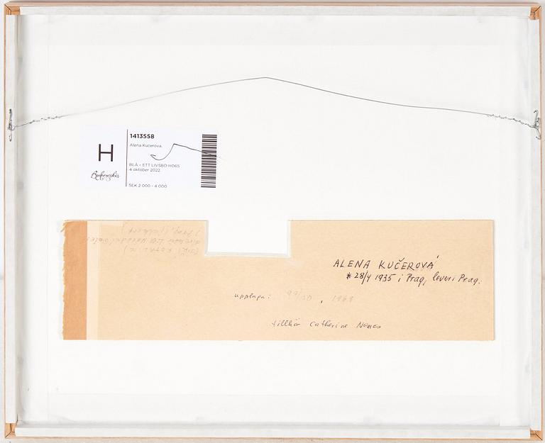 Alena Kučerová, Untitled.