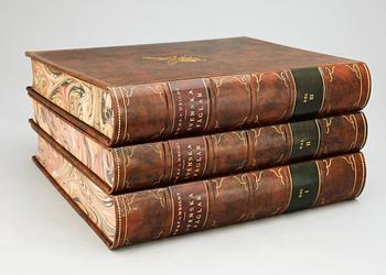 BÖCKER, 3 vol, "Svenska Fåglar", M,W & F von Wright. Stockholm, 1927 samt 1929.