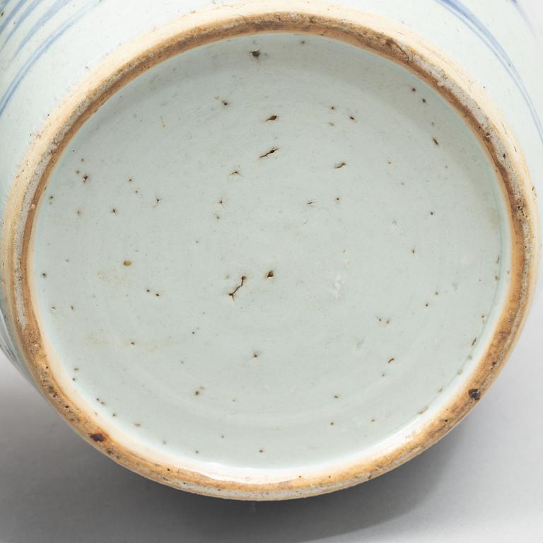 Two blue and white porcelain ginger jars, Qing dynasty, China, 19th century.
