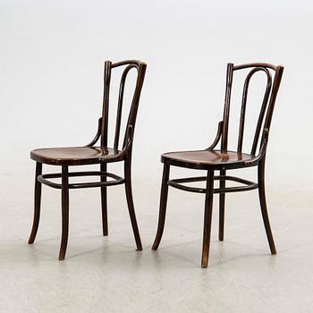 Stolar, 6 st, Fischel, 1900-talets början.