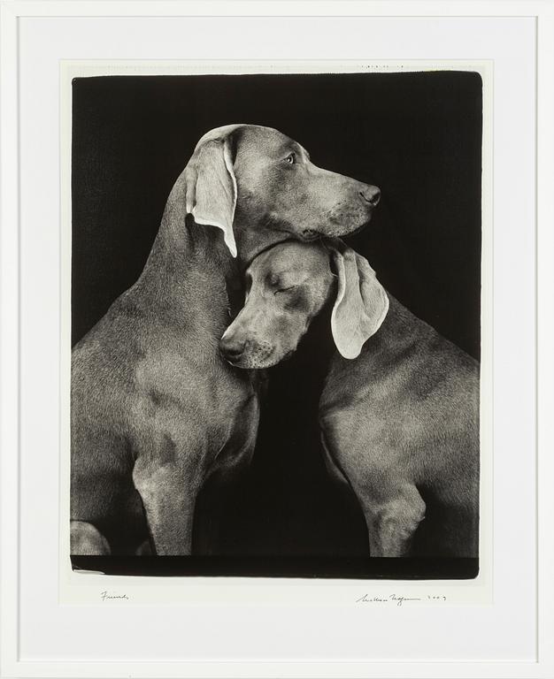 William Wegman, "Friends".